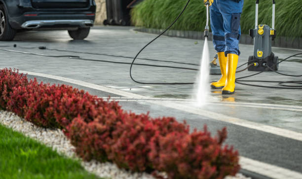 Best Solar Panel Cleaning  in Baldwin Park, CA